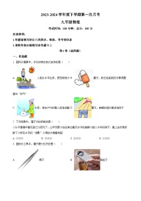 山东省德州市禹城市张庄镇中学2023-2024学年九年级下学期3月月考物理试题（原卷版+解析版）