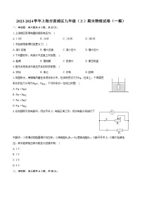 2023-2024学年上海市黄浦区九年级（上）期末物理试卷（一模）（含详细答案解析）