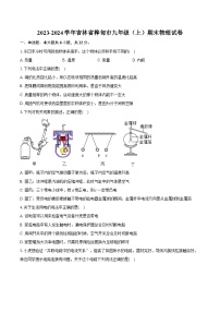 2023-2024学年吉林省桦甸市九年级（上）期末物理试卷（含详细答案解析）