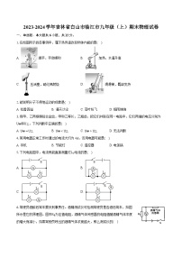 2023-2024学年吉林省白山市临江市九年级（上）期末物理试卷（含详细答案解析）