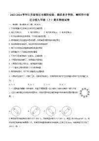 2023-2024学年江苏省宿迁市泗阳实验、泗洪育才学校、南师附中宿迁分校九年级（上）期末物理试卷（含详细答案解析）