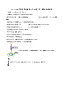2023-2024学年河北省廊坊市九年级（上）期末物理试卷（含详细答案解析）