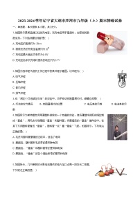 2023-2024学年辽宁省大连市庄河市九年级（上）期末物理试卷（含详细答案解析）