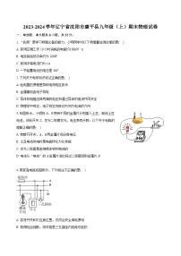 2023-2024学年辽宁省沈阳市康平县九年级（上）期末物理试卷（含详细答案解析）