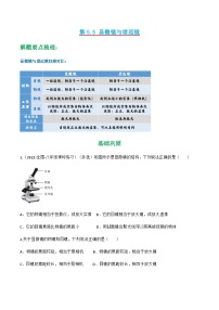 初中物理人教版八年级上册第5节 显微镜和望远镜一课一练