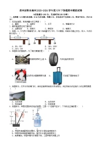 贵州省黔东南州2023-2024学年八年级下学期物理期中模拟试卷