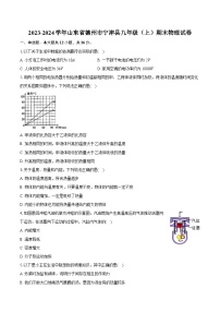 2023-2024学年山东省德州市宁津县九年级（上）期末物理试卷（含详细答案解析）