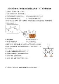 2023-2024学年山东省泰安市肥城市九年级（上）期末物理试卷（含详细答案解析）