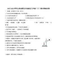 2023-2024学年山东省泰安市高新区九年级（上）期末物理试卷（含详细答案解析）