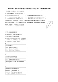 2023-2024学年山东省济宁市金乡县九年级（上）期末物理试卷（含详细答案解析）