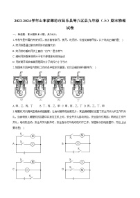 2023-2024学年山东省潍坊市昌乐县等八区县九年级（上）期末物理试卷（含详细答案解析）