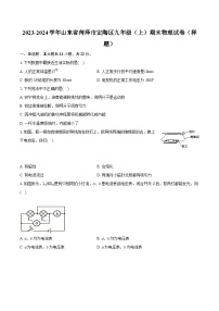 2023-2024学年山东省菏泽市定陶区九年级（上）期末物理试卷（样题）（含详细答案解析）