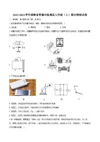 2023-2024学年湖南省常德市临澧县九年级（上）期末物理试卷（含详细答案解析）