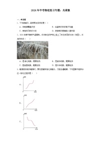 2024年中考物理复习专题：光现象（含答案）
