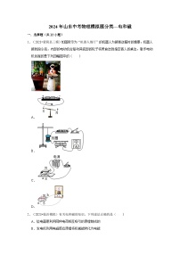 2024年山东中考物理模拟题分类---电和磁