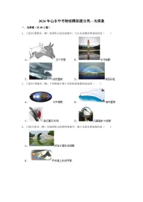 2024年山东中考物理模拟题分类---光现象