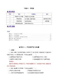 中考物理二轮专题复习专题01 声现象（含解析）
