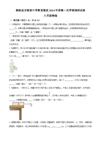 河南省南阳市桐柏县桐柏县方树泉中学2023-2024学年八年级下学期3月月考物理试题（原卷版+解析版）