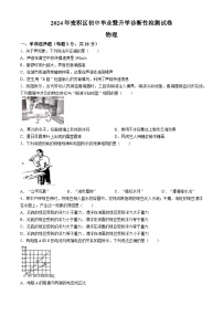 2024年甘肃省天水市麦积区中考一模考试物理试题(无答案)