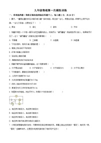 2024年江苏省 徐州市树人初级中学中考一模物理试卷（原卷版+解析版）