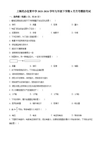 上海市上海市徐汇区上海民办位育中学2023-2024学年九年级下学期4月月考物理试题（原卷版+解析版）