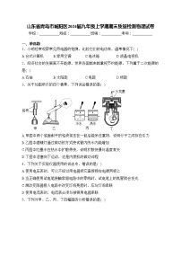 山东省青岛市城阳区2024届九年级上学期期末质量检测物理试卷(含答案)