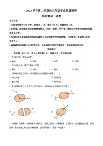 2024年上海市闵行区九年级中考二模物理试卷（原卷版+解析版）