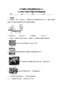 辽宁省鞍山市岫岩满族自治县2023-2024学年八年级下学期4月月考物理试卷(含答案)