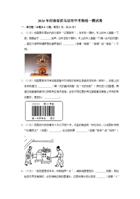 2024年河南省驻马店市中考物理一模试卷