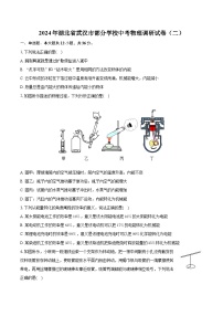 2024年湖北省武汉市部分学校中考物理调研试卷（二）