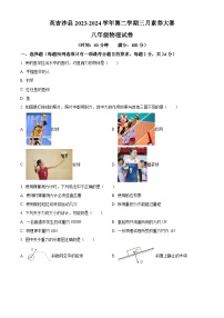 新疆维吾尔自治区喀什地区英吉沙县2023-2024学年八年级下学期3月月考物理试题（原卷版+解析版）