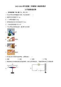 广东省茂名市高州市高州四校联考2023-2024学年九年级下学期3月月考物理试题（原卷版+解析版）