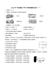 2024年广东省肇庆中学中考物理模拟试卷（一）（含解析）