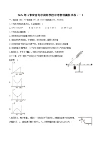 2024年山东省青岛市滨海学校中考物理模拟试卷（一）（含解析）