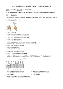 广东省湛江市雷州市雷州市第八中学2023-2024学年九年级下学期3月月考物理试题（原卷版+解析版）