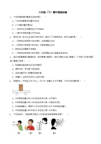 广东省湛江市2024年八年级（下）期中物理试卷（附答案）