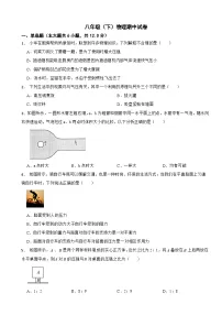 河南省安阳市2024年八年级（下）物理期中试卷（附答案）