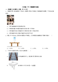 河南省周口市2024年八年级（下）物理期中试卷（附答案）