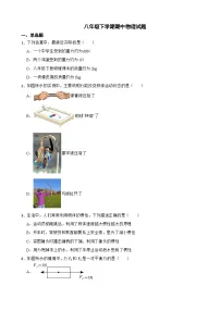 黑龙江省绥化市2024年八年级下学期期中物理试题（附答案）