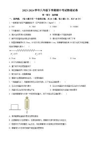 广东省深圳高级中学2023-2024学年八年级下学期期中考试物理试卷（原卷版+解析版）