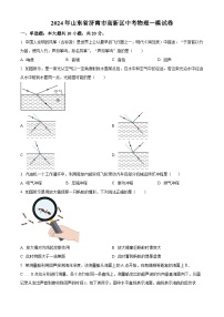 2024年山东省济南市高新区中考物理一模试卷