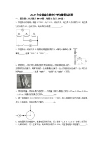 2024年安徽省合肥市中考物理模拟试卷