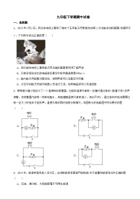 人教版物理2024年九年级下学期期中试卷(附答案)