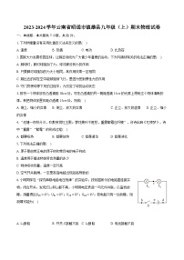 2023-2024学年云南省昭通市镇雄县九年级（上）期末物理试卷（含详细答案解析）