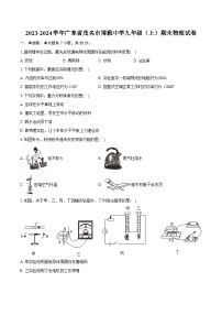 2023-2024学年广东省茂名市博雅中学九年级（上）期末物理试卷（含详细答案解析）