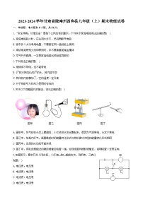 2023-2024学年甘肃省陇南州西和县九年级（上）期末物理试卷（含详细答案解析）