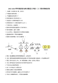 2023-2024学年陕西省宝鸡市陇县九年级（上）期末物理试卷（含详细答案解析）