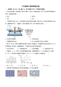 江苏省常州市实验初级中学2023-2024学年八年级下册期中调研物理试卷（原卷版+解析版）