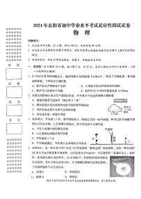 2024年湖南省岳阳市中考一模物理试题