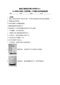 黑龙江省绥化市第八中学校2023-2024学年九年级（五四学制）下学期4月月考物理试卷(含答案)